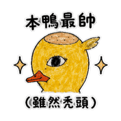 禿頭鴨的日常