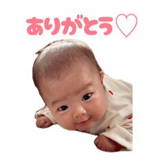 mai_20260504132935