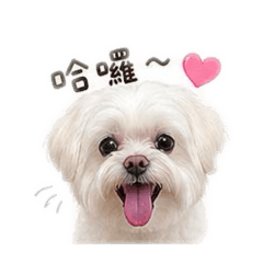 馬爾濟斯斯斯斯斯斯斯斯斯