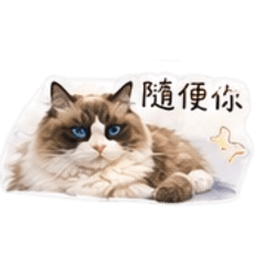 醬醬小咪