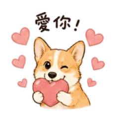 科基·MOMO·3