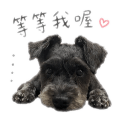 我是桑尼呦