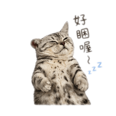 短腿崽崽