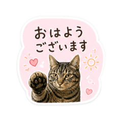 marunako_20260504004811