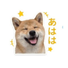 akdk_20260504005400