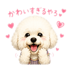 mayu_20260504013328