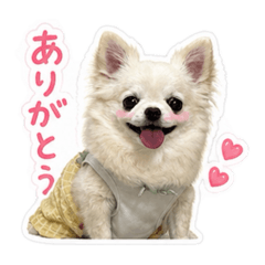 simowa-san_20260504014744