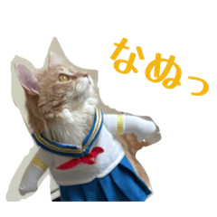 ahoneko_20260504020015