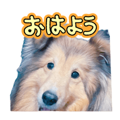 Risakoo_20260504015541