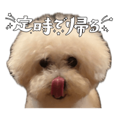 yuzutan_20260504134347