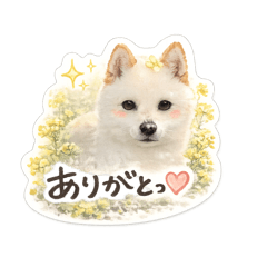 mami._20260504135437