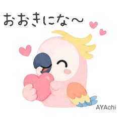 AYAchi_20260504135440