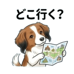 Kooikerhondje Lutz 5
