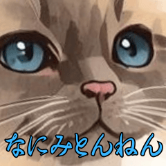 Cute and funny cat0723