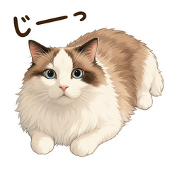 Latte and Sue: The Fluffy Giants