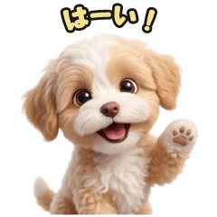 240 Maltipoo LINE stickers