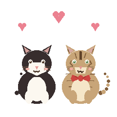 Black Cat & Tabby Cat