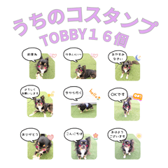 tobby_dog