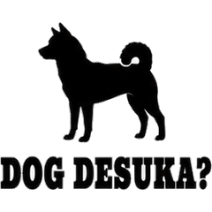 Hakata Shiba Inu
