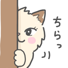 A Slightly Intense Cat