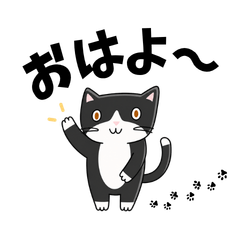 Black and White Cat Stickers1125