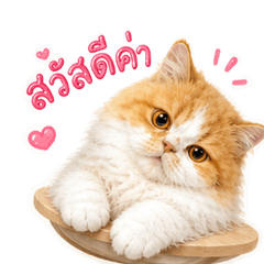 CATEMOT