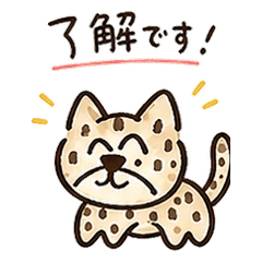 Little Leopard Daily Stickers