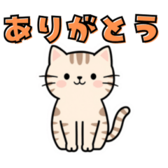 brown tabby cat lifestyle
