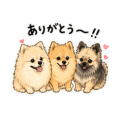 Cute Pomeranian Trio Daily Stickers2