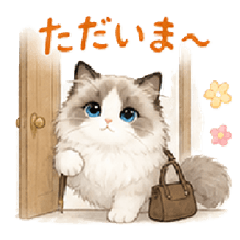 A Day in the Life of a Ragdoll.