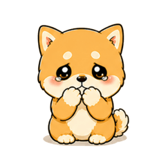 超可愛柴犬水汪汪眼