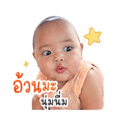 Nathir_20260428131516