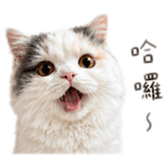 噗噗嚕比