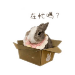 阿仔～