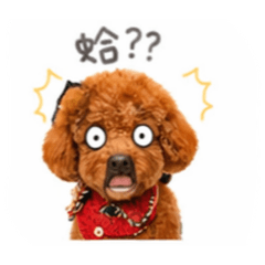 我Ga日常篇