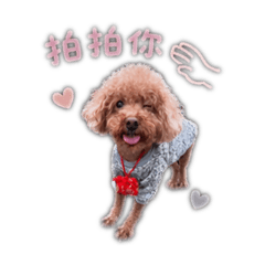 小多出去玩