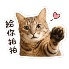 胖胖貓阿比-生活用語篇