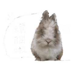 捲捲系列3