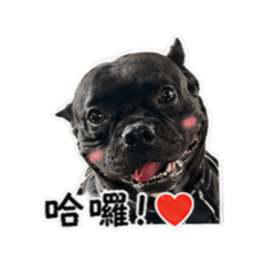 可愛的阿肥哇～
