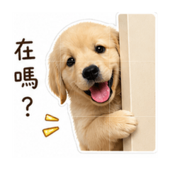 小比（貼圖）