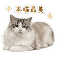 吐司配饅頭