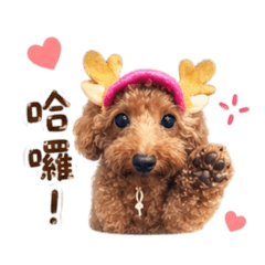 Vicky ⁺₊♡₊⁺