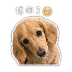 錢錢撒嬌