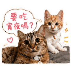 南瓜Q耍可愛