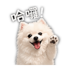 饅頭先生-2
