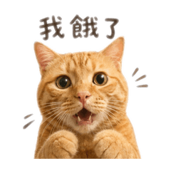 臭咪日常生活