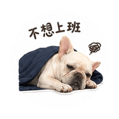 pipi不想上班