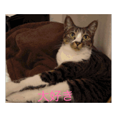 Yuka_20260504102537