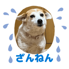 Suzu's fam_20260504161638