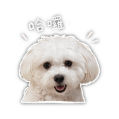 他叫可樂～～